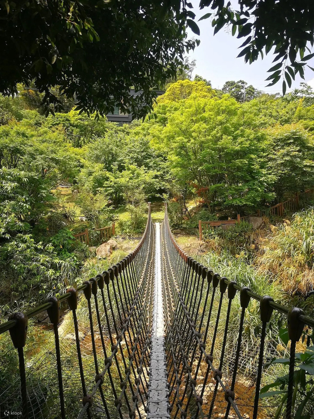 "Across Taiwan: The Beauty of Taiwan Unveiled! 7 Stunning Cherry Blossom Viewing Spots for Spring Revealed. Experience the Pink Romance Without Having to Travel to Japan!"